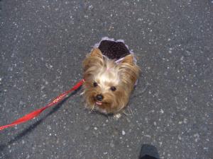 20070325_13.jpg