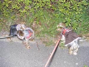 20070325_8.jpg