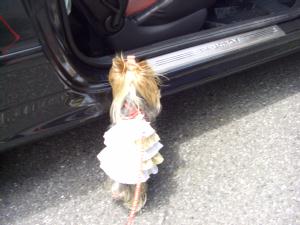 20070526_8.jpg