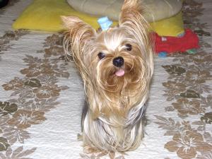20070721.jpg