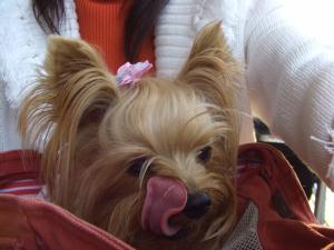 20071020_6.jpg
