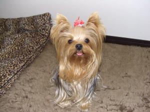 20071117_3.jpg
