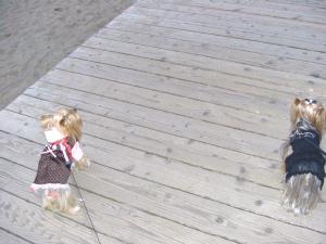 20071208_2.jpg