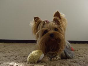 20071208_8.jpg