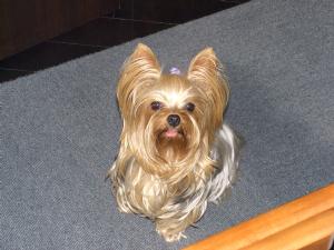 20080517_10.jpg