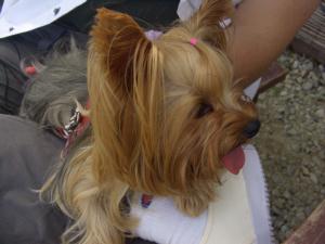 20080719_1.jpg