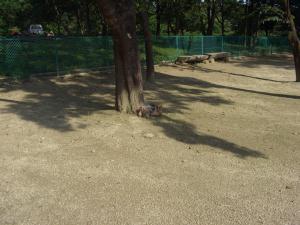 20080719_41.jpg