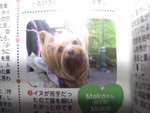 20080918_2.jpg