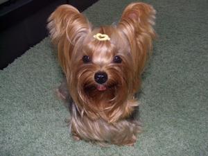 20080921_4.jpg