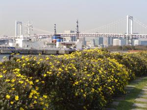 20090321_02.jpg
