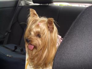20090503_14.jpg