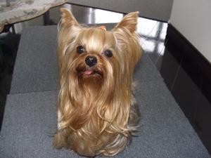 20090510_3.jpg