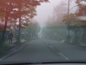 20090530_50.jpg