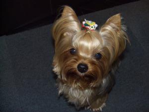 20090614_4.jpg