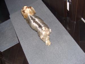 20090614_6.jpg